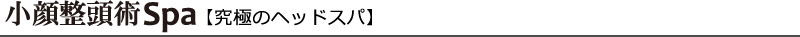 小顔整頭術Spa[究極のヘッドスパ]